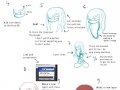 toon_1237596273639_Tutorial___Knuckles_by_SpaceFoxy.jpg